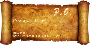 Pozsgai Olaf névjegykártya